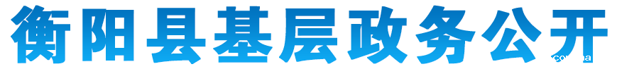衡阳县基层开云网站切尔西赞助商